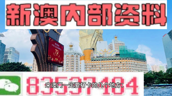 新澳门2024年正版免费公开;精选解析解释落实