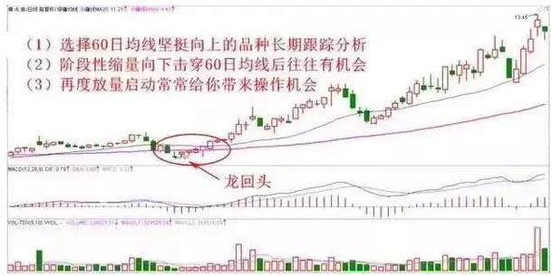 新澳门精准四肖期期中特公开蛇立东;-精选解析解释落实